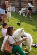 Cerdanya DogFest