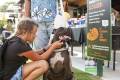 Cerdanya DogFest