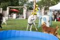 Cerdanya DogFest